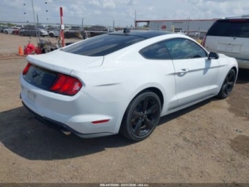 Ford Mustang VI 2023 Ford Mustang Ecoboost 2023 2.3 Benzyna 310KM, zdjęcie 4