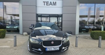 Jaguar XE Sedan 2.0 i4 180KM 2017 Jaguar XE 2.0 Diesel 180KM