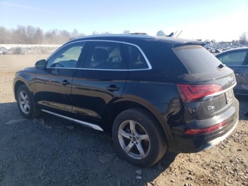 Audi Q5 II 2021 Audi Q5 Premium 2021 2.0l 2.0 Benzyna 261KM, zdjęcie 3