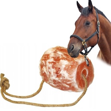 LIZAWKA SOLNA DLA KONI SÓL HIMALAJSKA 2-3 KG