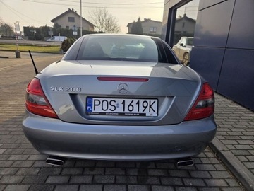 Mercedes SLK R171 Roadster 1.8 (200 Kompressor) 184KM 2008 Mercedes-Benz SLK 200 Kompressor 184 KM R171 manual 1.8 Benzyna 184KM, zdjęcie 8