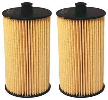 2× FILTRON PE 973/4 FILTR PALIVA