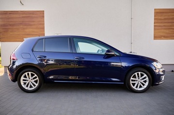 Volkswagen Golf VII Hatchback 3d Facelifting 1.6 TDI-CR DPF BMT 115KM 2019 VW GOLF VII 1.6 diesel 115KM Navi DVD led Alu16 zarejestrowany w Polsce, zdjęcie 12