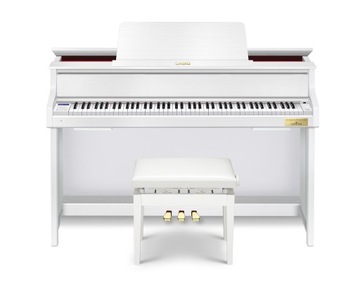 CASIO GP-310 WE + ŁAWA