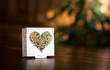 Коробочка для обручальных колец из белого ЗОЛОТА