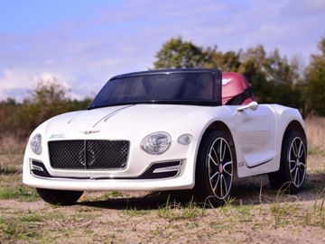 ОРИГИНАЛЬНАЯ ВЕРСИЯ BENTLEY EXP12, МЯГКАЯ