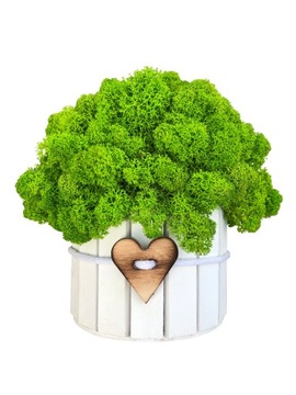 МОСС ХРОБОТЕК ДЕРЕВЯННЫЙ ОТДЕЛКА МОДНЫЙ ОТДЕЛКА ДЕРЕВО