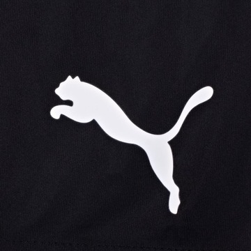 Puma krótkie spodenki sportowe treningowe męskie