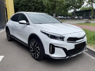 Kia XCeed 2025 KIA XCeed 1.6 T-GDI Tribute DCT Crossover 150KM 2025