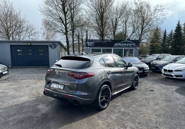 Alfa Romeo Stelvio SUV 2.0 Turbo 200KM 2019 Alfa Romeo Stelvio DNA Czerwone skory VAT23 Na..., zdjęcie 8