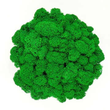 Вазон с мхом хроботек, 23 см, мох хроботек в сером горшке, 3D печать