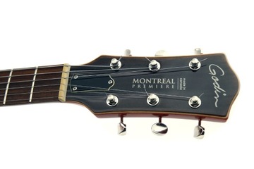 Godin Montreal Premiere, замечательный профессиональный инструмент в идеальном состоянии.