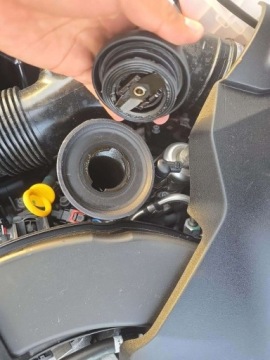 Alfa Romeo Giulia II 2024 Alfa Romeo Giulia Quadrifoglio 2024 2.9l 2.9 Benzyna 505KM, zdjęcie 7