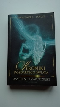 Kroniki rozdartego świata asystent czarodziejki