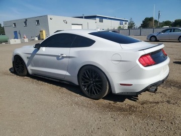 Ford Mustang VI Fastback Facelifting 5.0 Ti-VCT 450KM 2021 Ford Mustang GT 2021 5.0l 5.0 Benzyna 450KM, zdjęcie 1