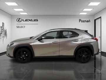 Lexus UX Crossover 200 171KM 2022 Lexus UX 200 GPF F Impression 2WD, zdjęcie 6