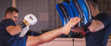 Боксерские перчатки Yakimasport LION 14 унций