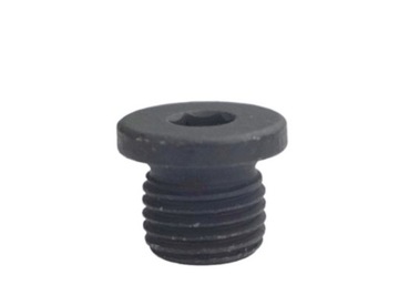 ŠROUB ZASLEPIAJACA N0160276 VW OE