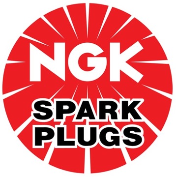 СВЕЧА ЗАЖИГАНИЯ NGK CR8EH9