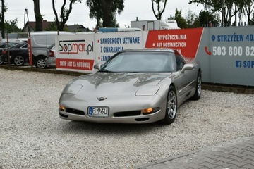 Chevrolet Corvette C5 Coupe 5.7 i V8 16V 355KM 1999 Chevrolet Corvette Coupe Targa 5.7 V8 355KM 1999r., zdjęcie 16