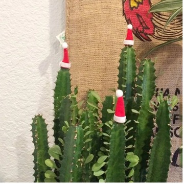 ШАПКА САНТА для СТОЛОВЫХ ПРИБОРОВ, крышка от бутылки ДЛЯ ЛОЛЛИ подарочная 10 ШТ.