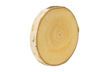 Plastry drewna, krążki drewniane 8-9 cm, suche
