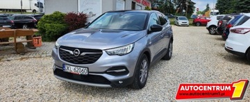 Opel 2020 Opel Grandland X Tylko 66.ooo km Kamera Navi MOZLIWA ZAMIANA 1.2 Benzyna, zdjęcie 10