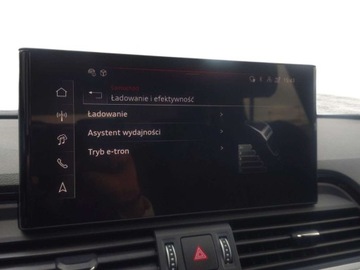 Audi Q5 II Q5-e Facelifting 2.0 50 TFSI e 299KM 2024 Audi Q5 Audi Q5 S-line 50 TFSI e Quattro 299KM S-tronic 2.0 Hybryda Plug-in, zdjęcie 33
