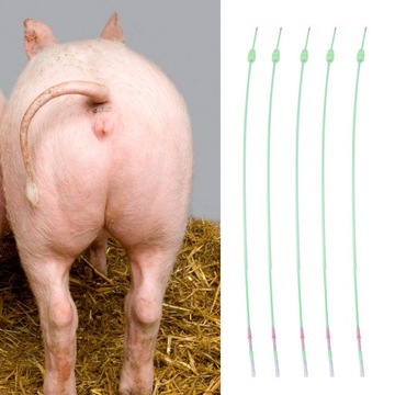 5 шт./компл. одноразовые животные свинья