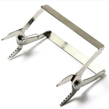 Набор из 6 шт., рамка-держатель для пчелиной клетки Queen Cage, инструмент для пчеловодства p