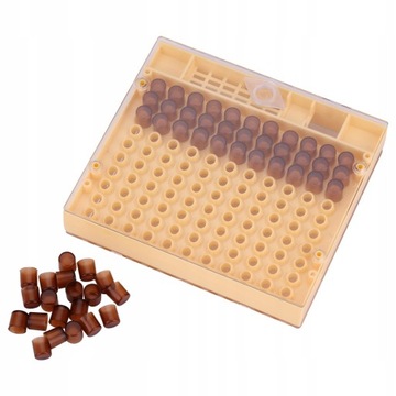 SYSTEM ZESTAW DO WYCHOWU MATEK PSZCZELICH