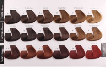 BE COLOR БЕЗ АММИАЧНАЯ КРАСКА 12 МИНУТ 1.11 100мл