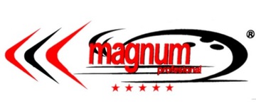 Ленточная шлифовальная машина Magnum 2000W, 230 В и очиститель для древесины
