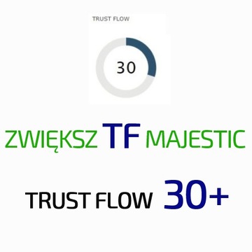 Pozycjonowanie - Zwiększ TF (Trust Flow) majestic do 30+