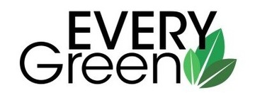 EVERY GREEN STYLING 2 BRUSHING FOAM ПЕНА ДЛЯ ВОЛОС С НАТУРАЛЬНЫМ ЭФФЕКТОМ 300 МЛ