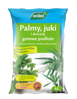 ZIEMIA DO PALM, JUKI I DRACENY 4L Z SERAMISEM