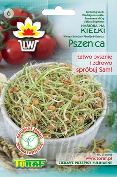 PSZENICA Nasiona na kiełki 50g TORAF