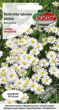 Stokrotka łąkowa (dzika) biała 0,2g nasiona Torseed