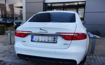 Jaguar XF II Sedan 2.0 i4P 250KM 2019 Jaguar XF JAGUAR XF 2.0P i4 250KM RWD AUTO R-Sport MY20 FV 23 2.0 Benzyna, zdjęcie 6