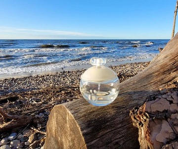 КАШАРЕЛЬ НОА EDT 100 МЛ ОРИГИНАЛ