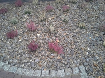 КАМЕННАЯ КОРА Гнейс 11-31 МЕШКИ 500 КГ КУРЬЕР