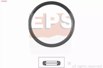 EPS TĚSNĚNÍ TERMOSTATU 1.890.606