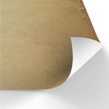 МОЮЩИЙСЯ КОВрик DWARFS LAND 50x50 CM CLEAN