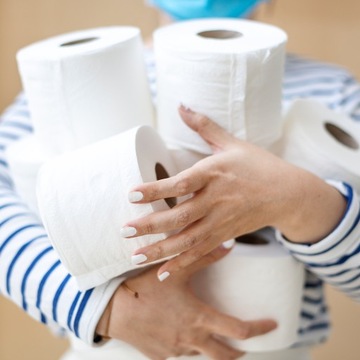 PAPIER TOALETOWY ELFI RUMIANKOWY 16 ROLEK 3W