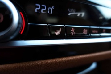 BMW Seria 5 G30-G31 Limuzyna 520d 190KM 2019 BMW Seria 5 Bezwypadek SalonPL xDrive LuxuryLine Tempomat Kamera FV, zdjęcie 18