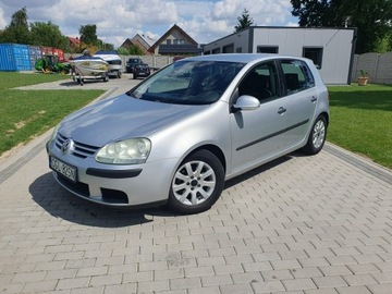 Volkswagen Golf V Hatchback 1.9 TDI 105KM 2004 Volkswagen Golf 1.9tdi 105KM 5 Drzwi Klima Raty, zdjęcie 32