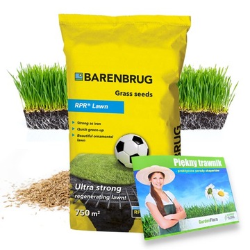 Trawa sportowa Barenbrug Nasiona trawy sport 15kg na boisko murawa