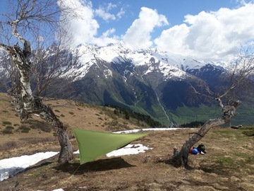 Tarp Moon Зеленый билет на Луну