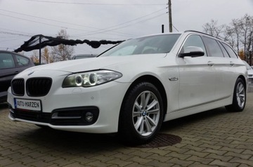 BMW Seria 5 F10-F11 Limuzyna 520d 184KM 2014 BMW Seria 5 2.0 Diesel 184 KM, 4x4, Automat, Lift, Skora, Biksneon, Hak, G, zdjęcie 4