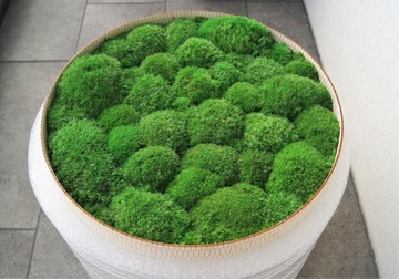 Картина круглая подушка из мха, диаметр 50 см.